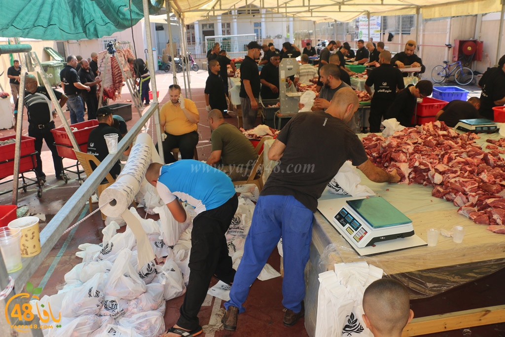 ada7y forthei (2).JPG